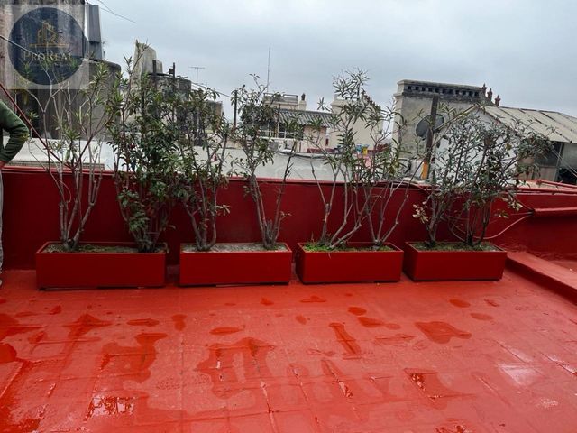 place photo 37