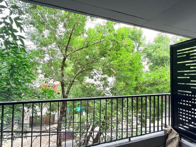 place photo 48