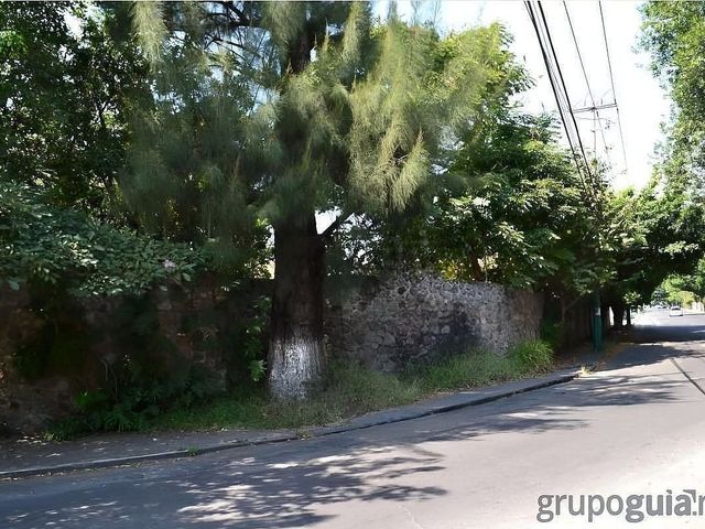 place photo 9
