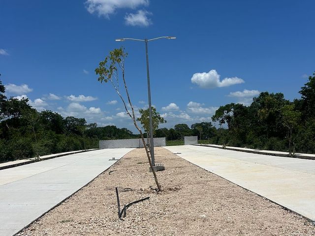 place photo 13