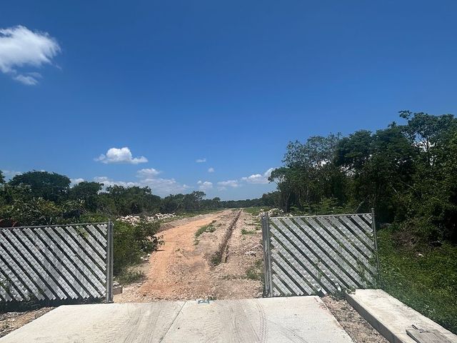 place photo 14