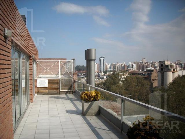 place photo 33