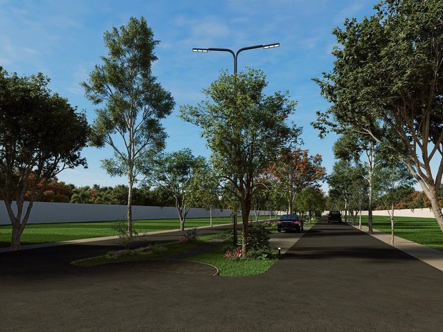 place photo 20