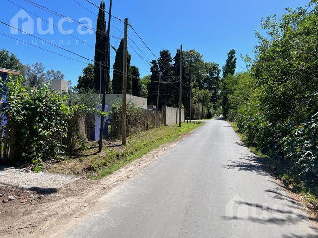 place photo 34