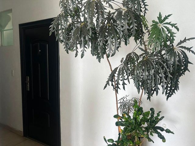 place photo 37