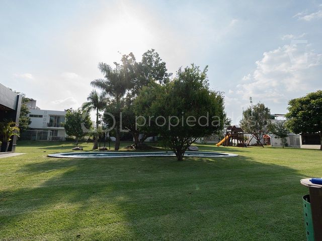 place photo 44