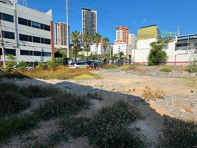place photo 20
