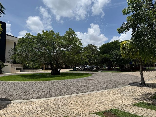 place photo 26