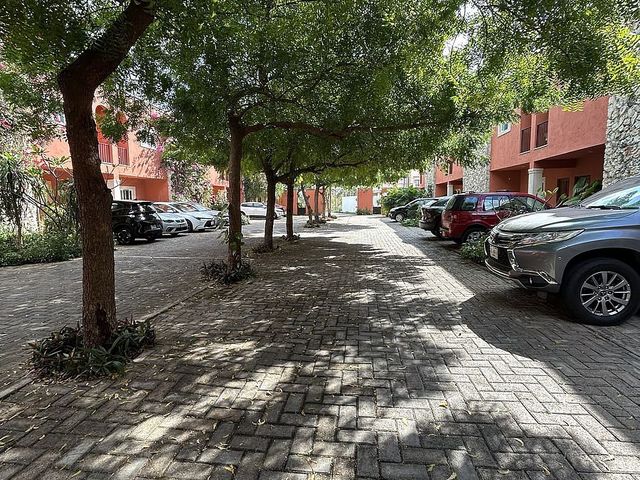 place photo 21
