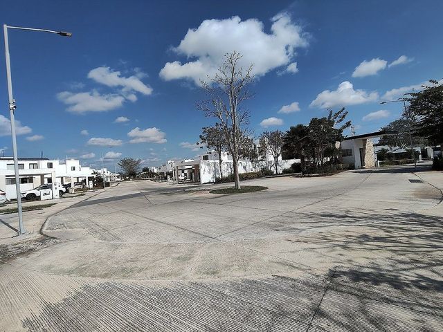 place photo 24