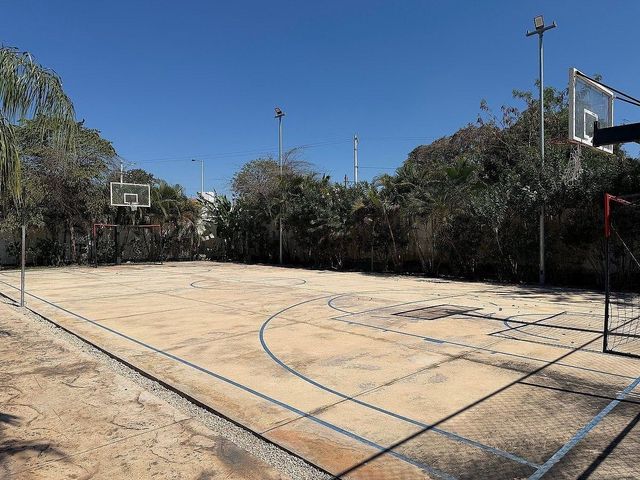 place photo 20