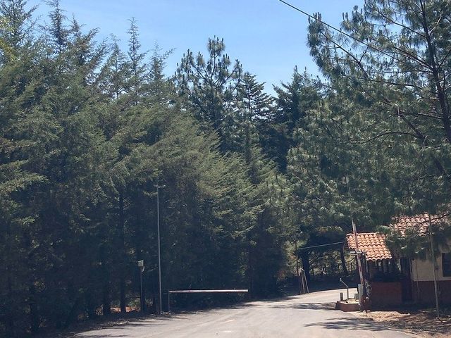 place photo 17