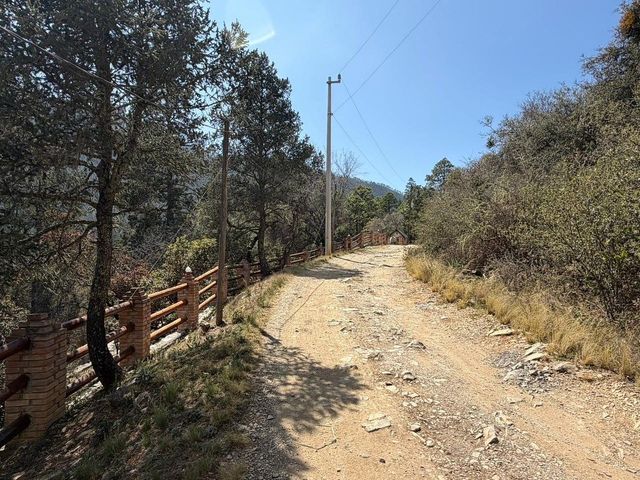 place photo 16