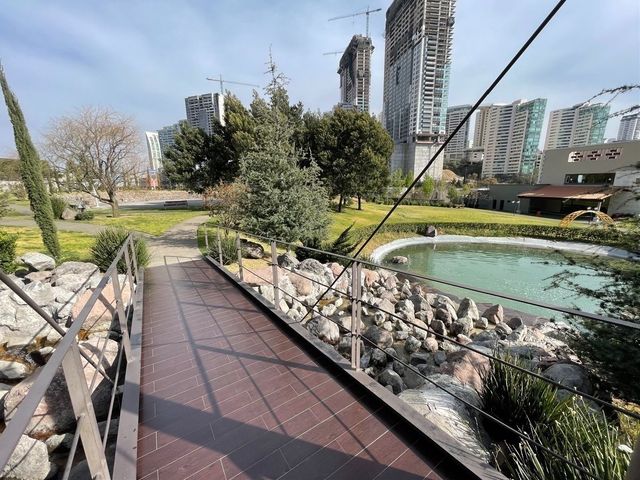 place photo 46
