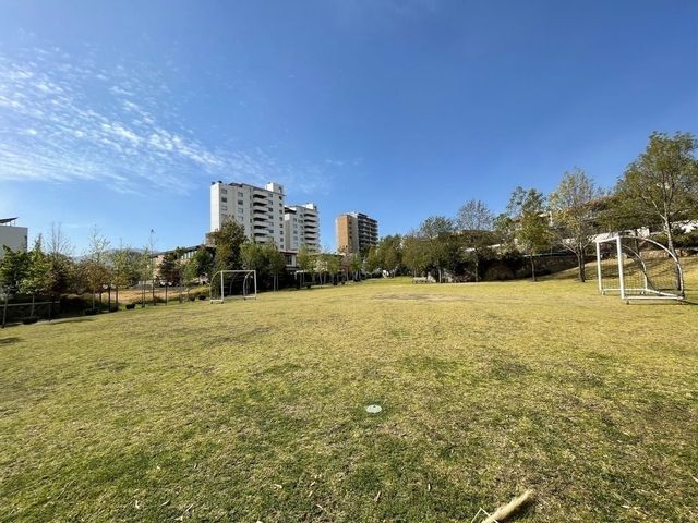 place photo 42