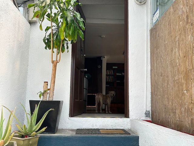 place photo 28