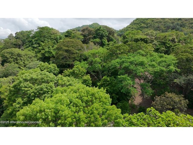 place photo 51