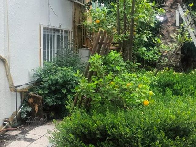 place photo 39