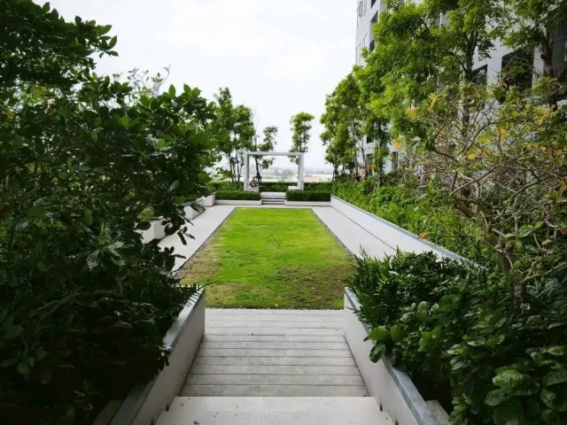 place photo 36