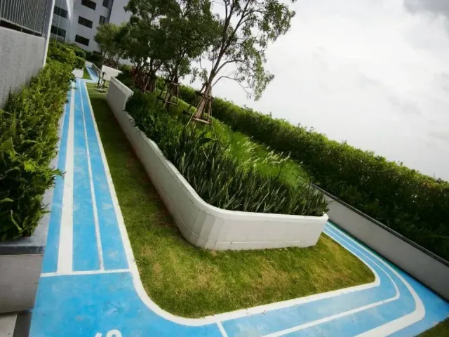 place photo 55
