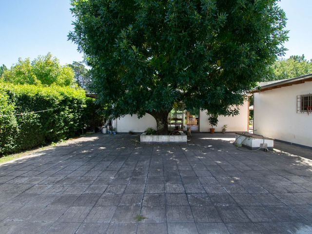place photo 33