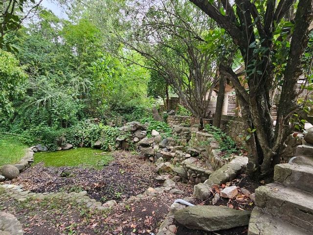 place photo 45
