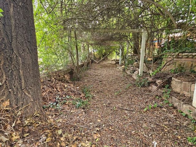 place photo 47