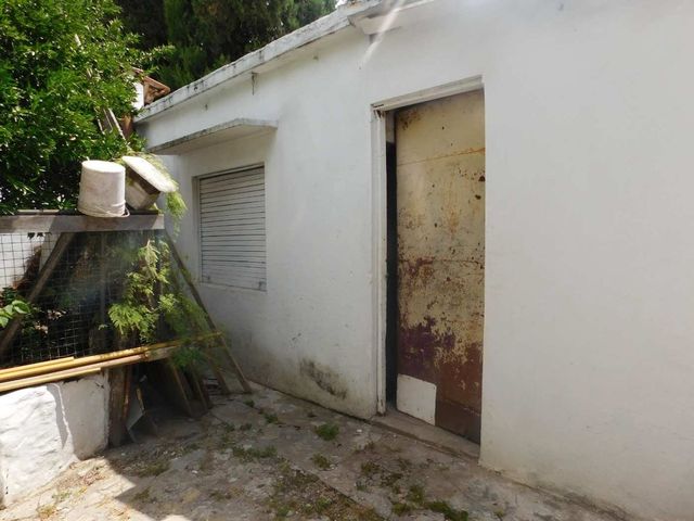 place photo 29