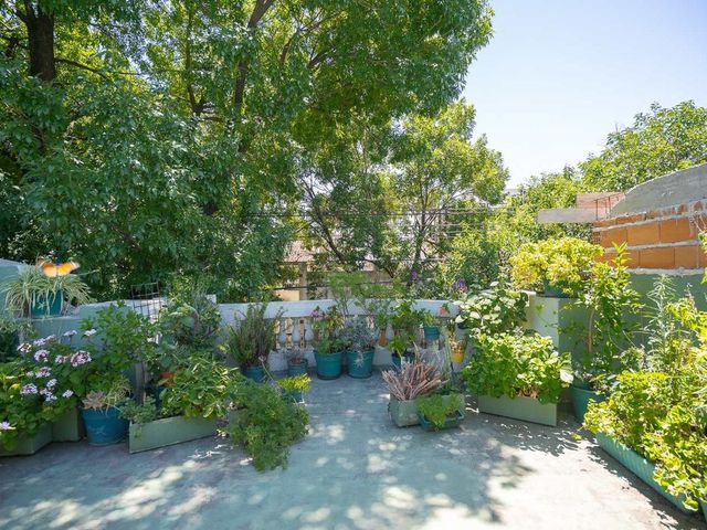 place photo 36