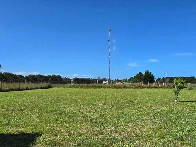place photo 21
