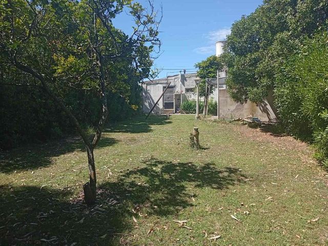 place photo 26
