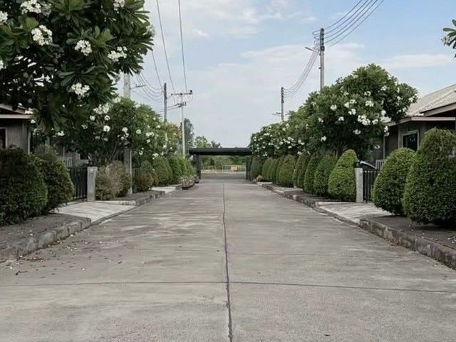 place photo 20