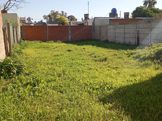 place photo 27