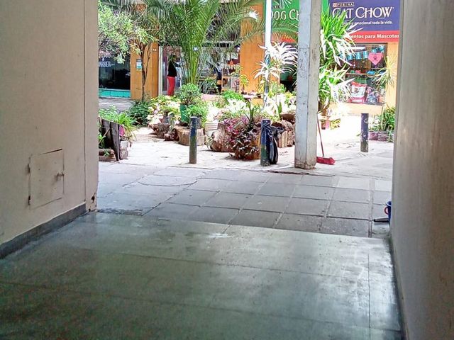 place photo 23
