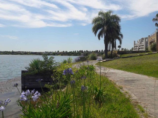 place photo 52
