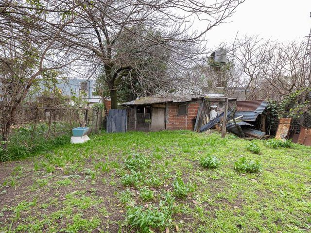 place photo 26