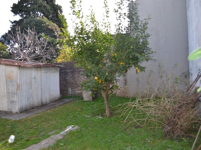 place photo 15