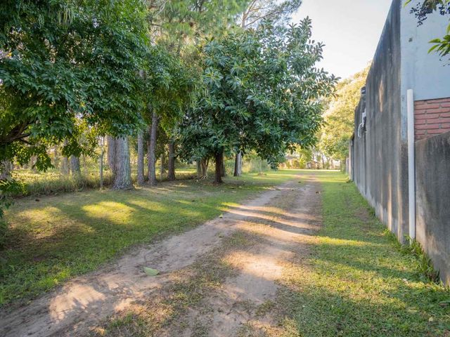 place photo 40