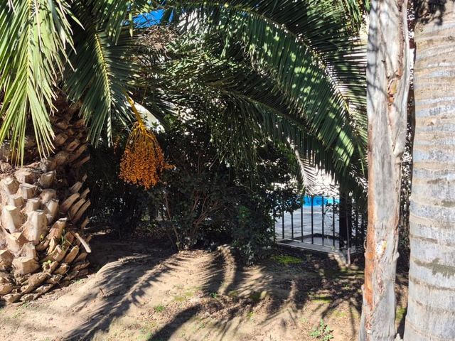 place photo 27