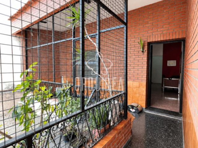 place photo 44