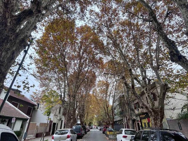 place photo 27