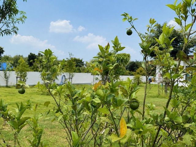 place photo 52