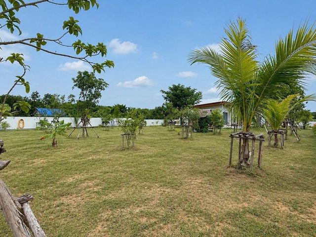place photo 53