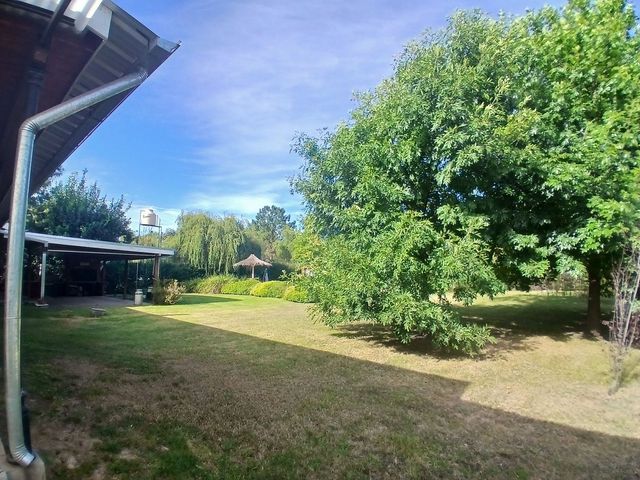 place photo 44