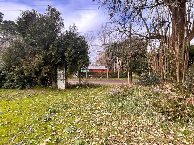 place photo 23