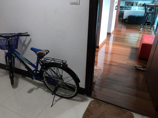 place photo 11