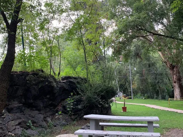 place photo 31