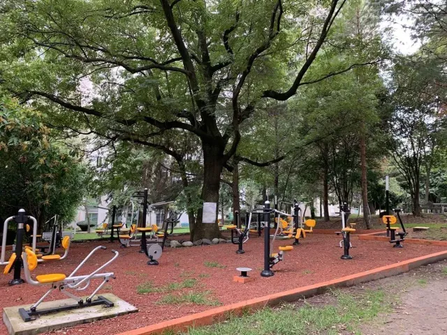 place photo 29
