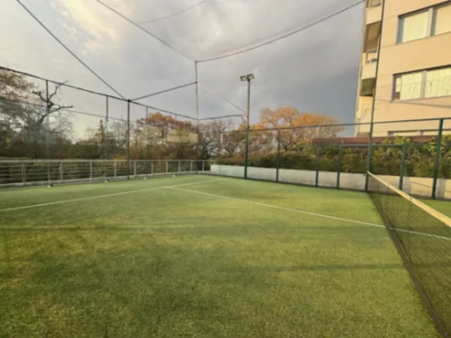 place photo 17