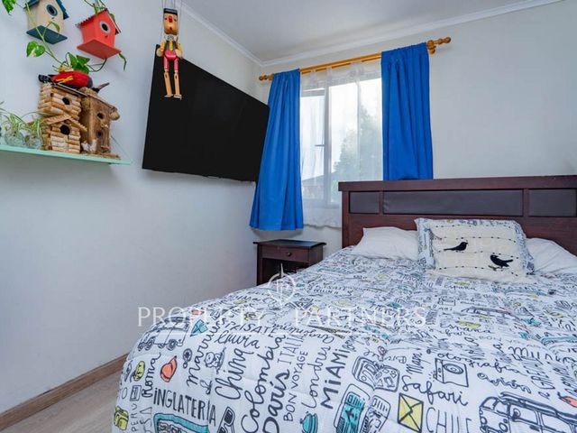 place photo 37